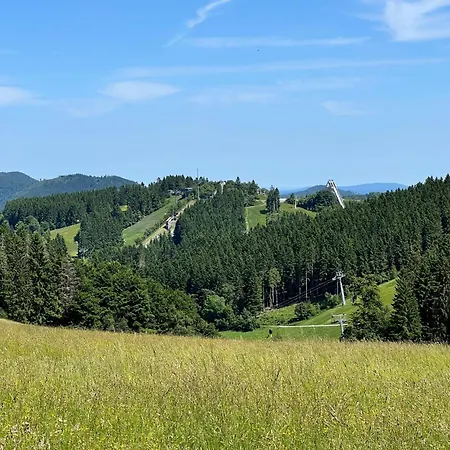 Panoramablick Postwiese * Winterberg