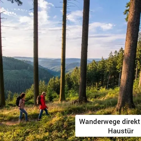 Panoramablick Postwiese * Winterberg