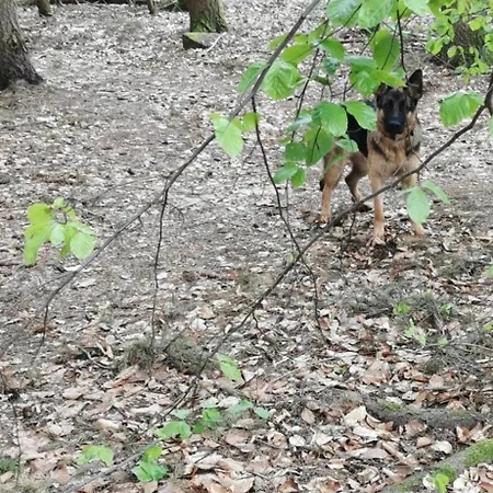 Apartmán Panoramablick Postwiese