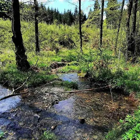 Panoramablick Postwiese *