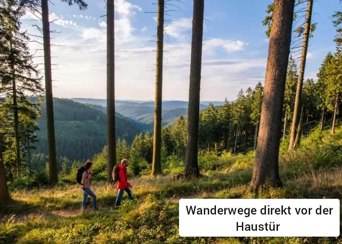 Panoramablick Postwiese * Winterberg